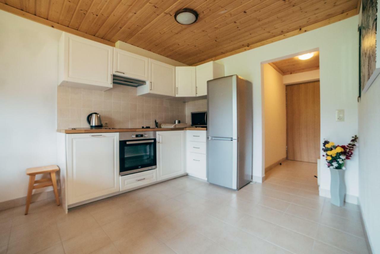 Haus Izabella Διαμέρισμα Filzmoos Εξωτερικό φωτογραφία